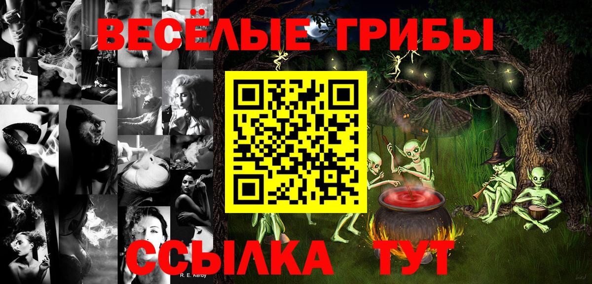 Галлюциногенные грибы GOLDEN TEACHER Бутурлиновка